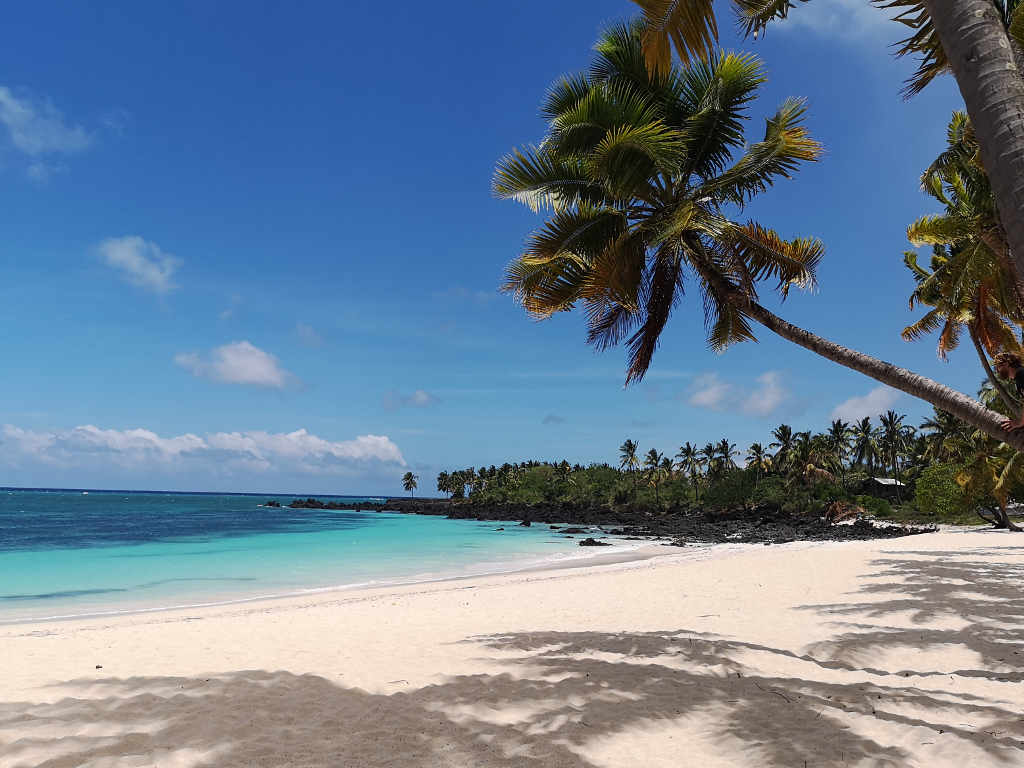 Site dédié à la Communauté comorienne et à la Diaspora des Comores